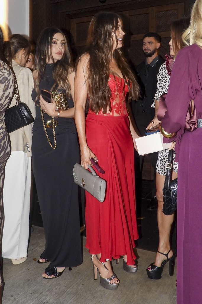 Sofia Vergara rocks plunging red dress in Miami as $1K steak dinner turns into family fiesta